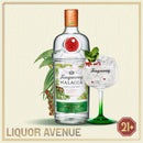 Tanqueray Malacca Distilled Gin 1 Liter